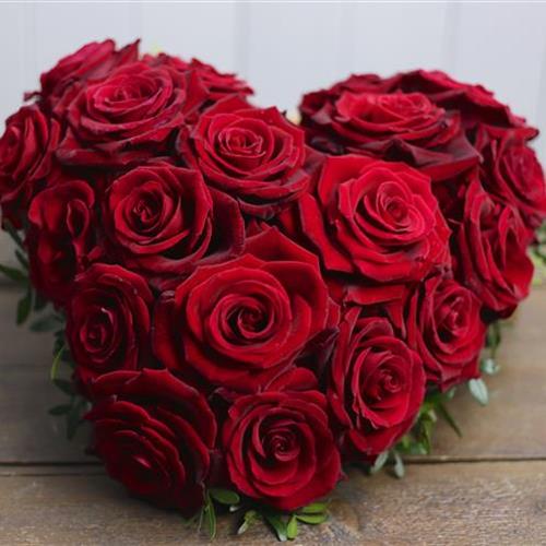 Heart of Roses