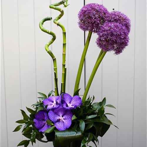 Alium and Vanda Orchid